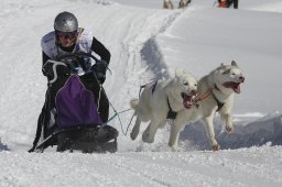 Kandersteg 2013